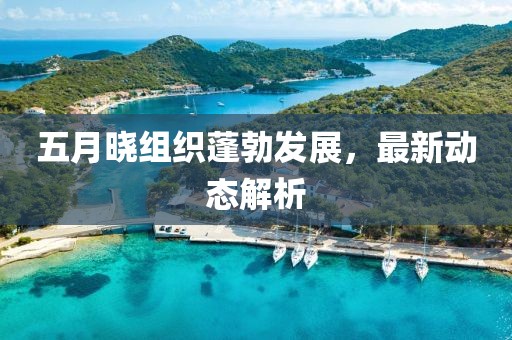 五月曉組織蓬勃發(fā)展，最新動(dòng)態(tài)解析