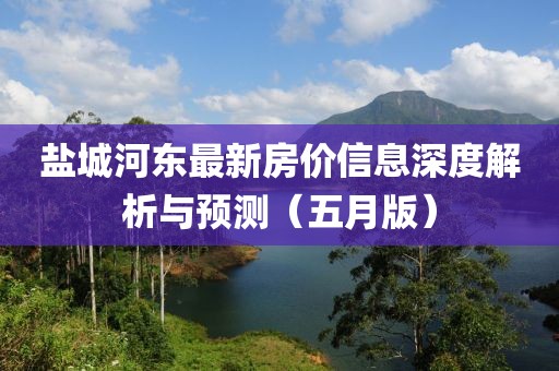 鹽城河?xùn)|最新房價信息深度解析與預(yù)測（五月版）