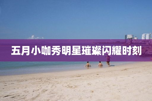 五月小咖秀明星璀璨閃耀時刻