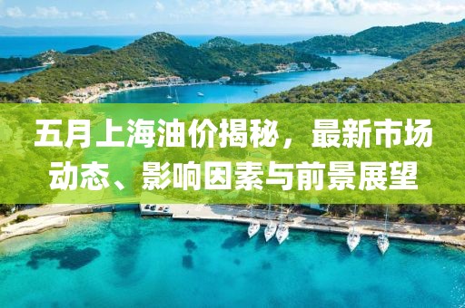 五月上海油價(jià)揭秘，最新市場動(dòng)態(tài)、影響因素與前景展望