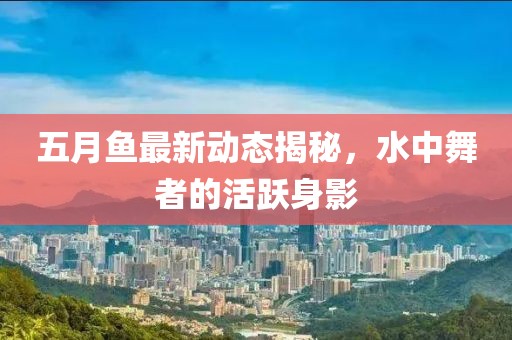 五月魚最新動(dòng)態(tài)揭秘，水中舞者的活躍身影