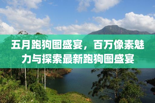 五月跑狗圖盛宴，百萬像素魅力與探索最新跑狗圖盛宴