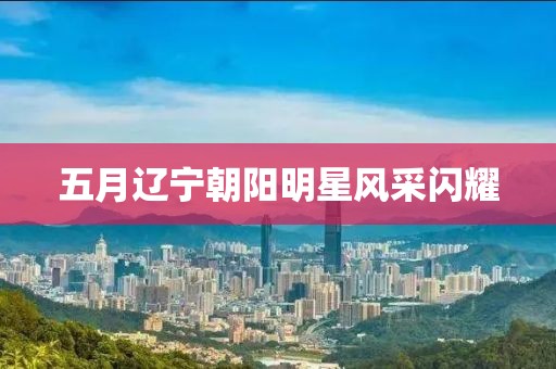 五月遼寧朝陽明星風(fēng)采閃耀