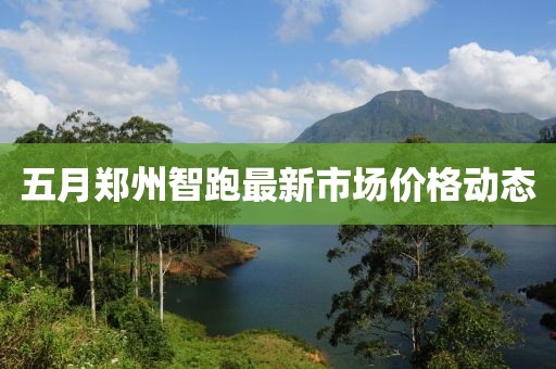 五月鄭州智跑最新市場價格動態(tài)