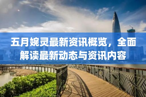 五月婉靈最新資訊概覽，全面解讀最新動態(tài)與資訊內(nèi)容