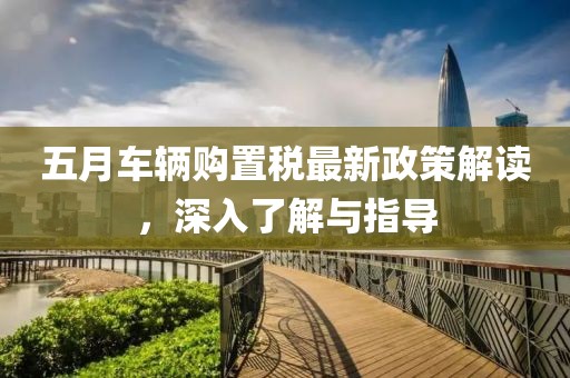 五月車輛購(gòu)置稅最新政策解讀，深入了解與指導(dǎo)