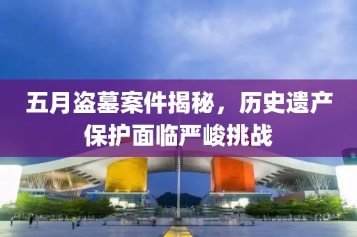 五月盜墓案件揭秘，歷史遺產(chǎn)保護(hù)面臨嚴(yán)峻挑戰(zhàn)