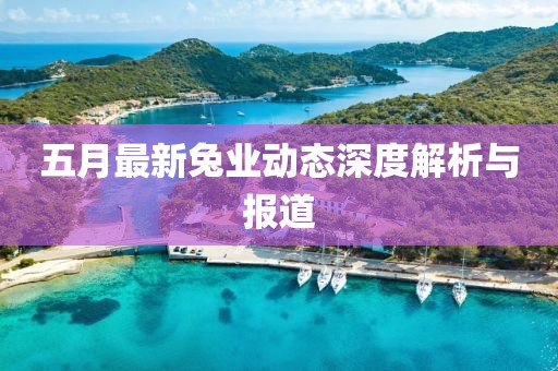 五月最新兔業(yè)動(dòng)態(tài)深度解析與報(bào)道