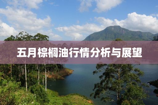 五月棕櫚油行情分析與展望
