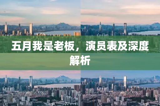 五月我是老板，演員表及深度解析