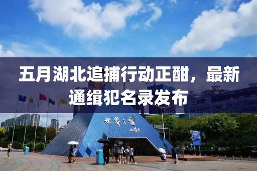 五月湖北追捕行動正酣，最新通緝犯名錄發(fā)布
