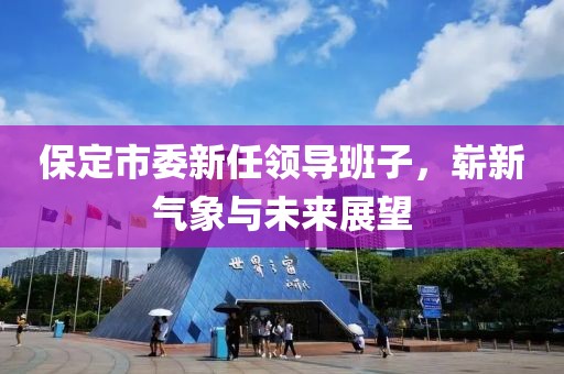 保定市委新任領(lǐng)導(dǎo)班子，嶄新氣象與未來展望