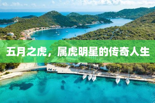 五月之虎，屬虎明星的傳奇人生