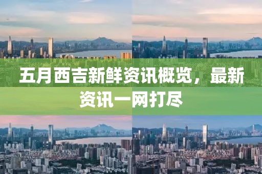 五月西吉新鮮資訊概覽，最新資訊一網(wǎng)打盡