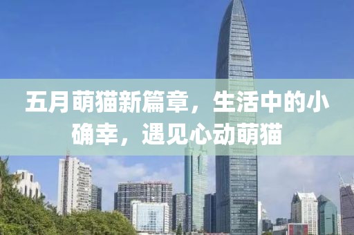 五月萌貓新篇章，生活中的小確幸，遇見心動萌貓