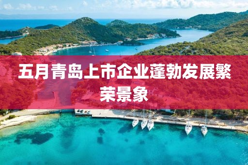 五月青島上市企業(yè)蓬勃發(fā)展繁榮景象