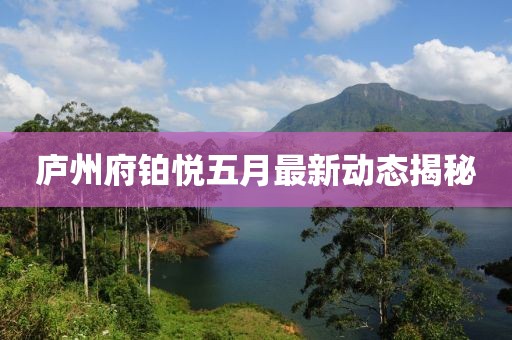 廬州府鉑悅五月最新動態(tài)揭秘