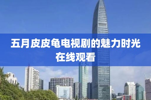 五月皮皮龜電視劇的魅力時光在線觀看