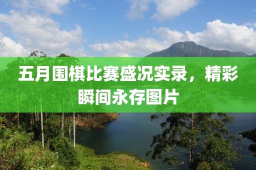 五月圍棋比賽盛況實(shí)錄，精彩瞬間永存圖片