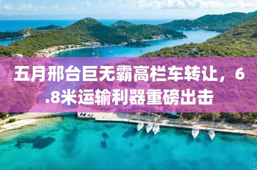 五月邢臺(tái)巨無霸高欄車轉(zhuǎn)讓，6.8米運(yùn)輸利器重磅出擊
