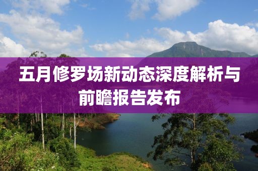 五月修羅場新動態(tài)深度解析與前瞻報告發(fā)布