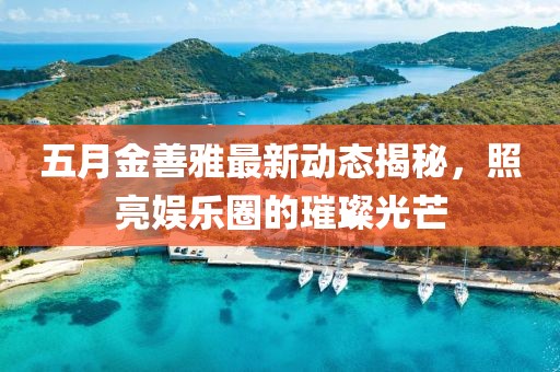 五月金善雅最新動(dòng)態(tài)揭秘，照亮娛樂(lè)圈的璀璨光芒