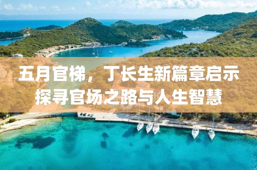 五月官梯，丁長(zhǎng)生新篇章啟示探尋官場(chǎng)之路與人生智慧