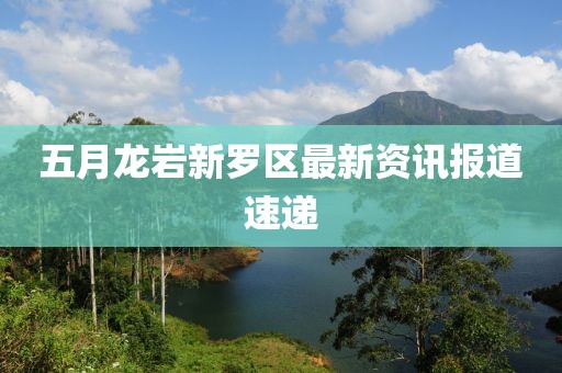 五月龍巖新羅區(qū)最新資訊報道速遞