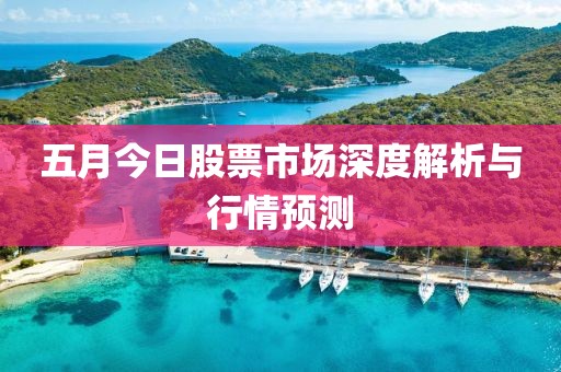 五月今日股票市場深度解析與行情預(yù)測