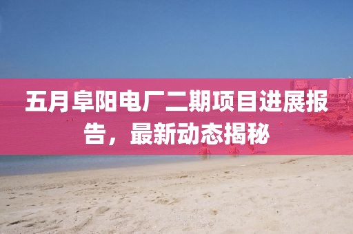 五月阜陽(yáng)電廠二期項(xiàng)目進(jìn)展報(bào)告，最新動(dòng)態(tài)揭秘