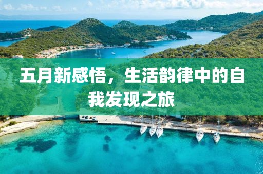 五月新感悟，生活韻律中的自我發(fā)現之旅