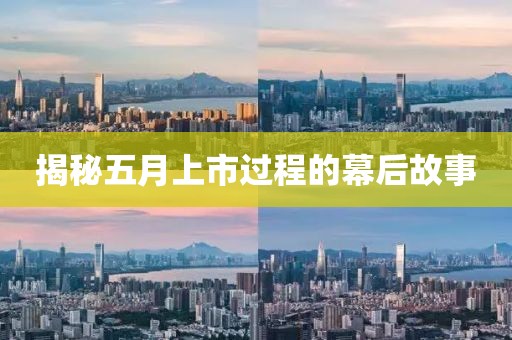 揭秘五月上市過(guò)程的幕后故事
