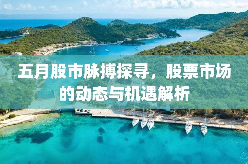 五月股市脈搏探尋，股票市場的動態(tài)與機遇解析