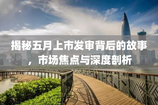 揭秘五月上市發(fā)審背后的故事，市場(chǎng)焦點(diǎn)與深度剖析