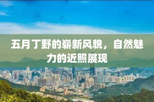 五月丁野的嶄新風貌，自然魅力的近照展現(xiàn)