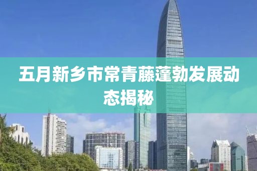 五月新鄉(xiāng)市常青藤蓬勃發(fā)展動態(tài)揭秘