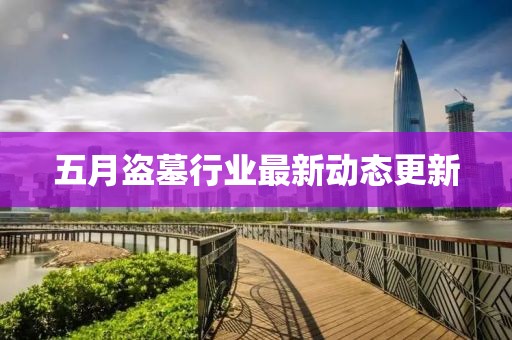 五月盜墓行業(yè)最新動(dòng)態(tài)更新