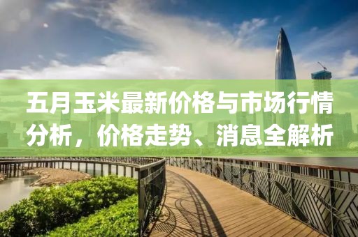 五月玉米最新價(jià)格與市場(chǎng)行情分析，價(jià)格走勢(shì)、消息全解析