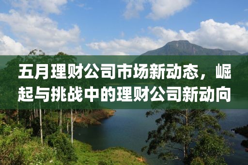 五月理財(cái)公司市場(chǎng)新動(dòng)態(tài)，崛起與挑戰(zhàn)中的理財(cái)公司新動(dòng)向