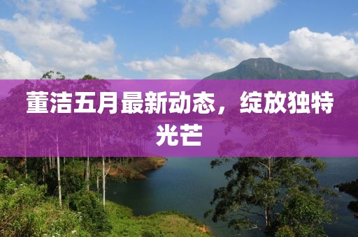 董潔五月最新動態(tài)，綻放獨(dú)特光芒