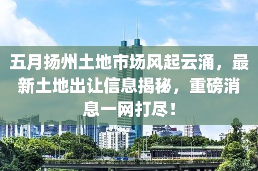 五月?lián)P州土地市場(chǎng)風(fēng)起云涌，最新土地出讓信息揭秘，重磅消息一網(wǎng)打盡！