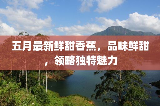 五月最新鮮甜香蕉，品味鮮甜，領(lǐng)略獨(dú)特魅力