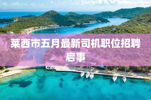 萊西市五月最新司機職位招聘啟事