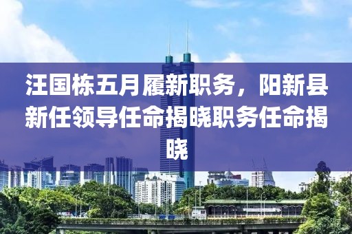 汪國(guó)棟五月履新職務(wù)，陽(yáng)新縣新任領(lǐng)導(dǎo)任命揭曉職務(wù)任命揭曉