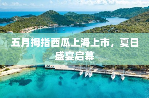 五月拇指西瓜上海上市，夏日盛宴啟幕