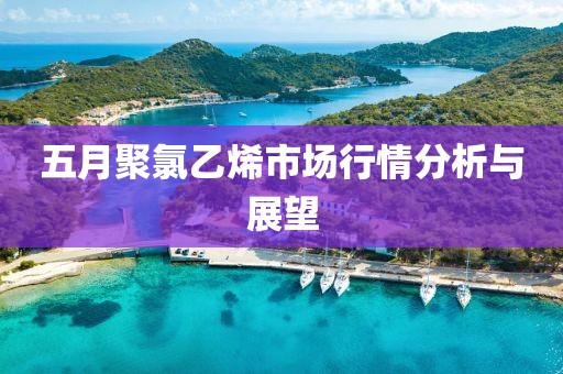 五月聚氯乙烯市場行情分析與展望