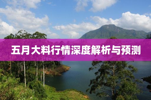五月大料行情深度解析與預測