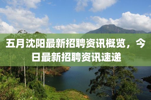 五月沈陽最新招聘資訊概覽，今日最新招聘資訊速遞