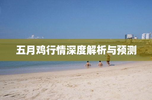 五月雞行情深度解析與預(yù)測(cè)