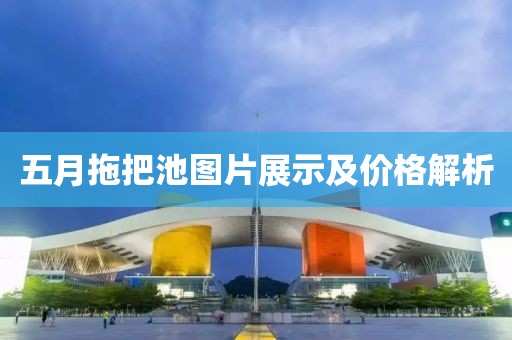 五月拖把池圖片展示及價(jià)格解析